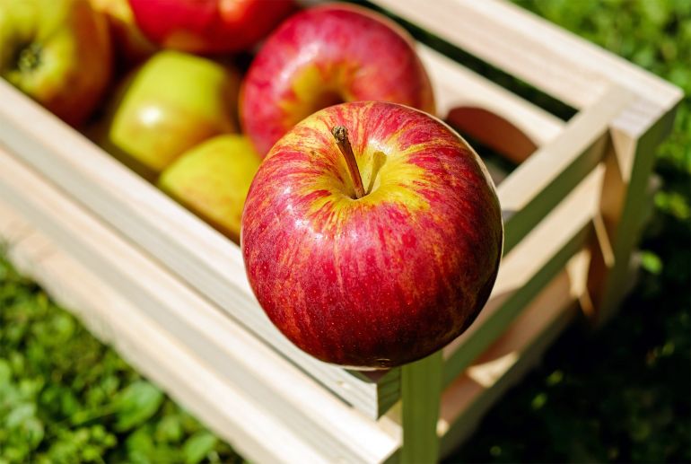 apple التفاح منخفض السعرات الحرارية والدهون، ولكنه غني بالألياف والعناصر الغذائية