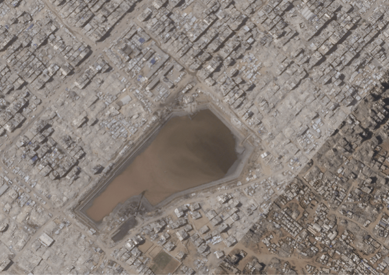 بركة الشيخ رضوان أغسطس/آب 2026 (بلانت)