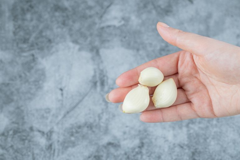 gar-1789053333 Woman hand holding a garlic on a colorful background. High quality photo ماجنيفيك