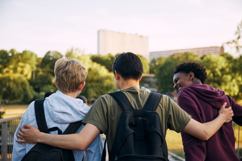Rear view of teenage boy walking with arm around friends - stock photo