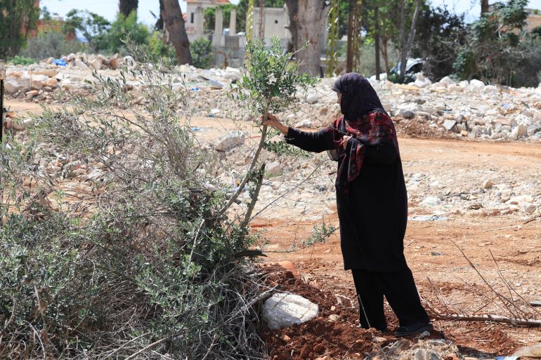 reuters-88774422-1791479487 زوطر Mariam al-Yaghi ,67, lebanese resident from West Zawtar, checks on her olive trees, southern Lebanon, October 1, 2026. REUTERS/Mohamed Azakir